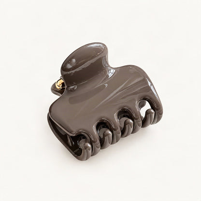 Dark coffee resin claw clip close-up [FITINY Hair]